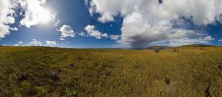 Hanga Hahave with Horses