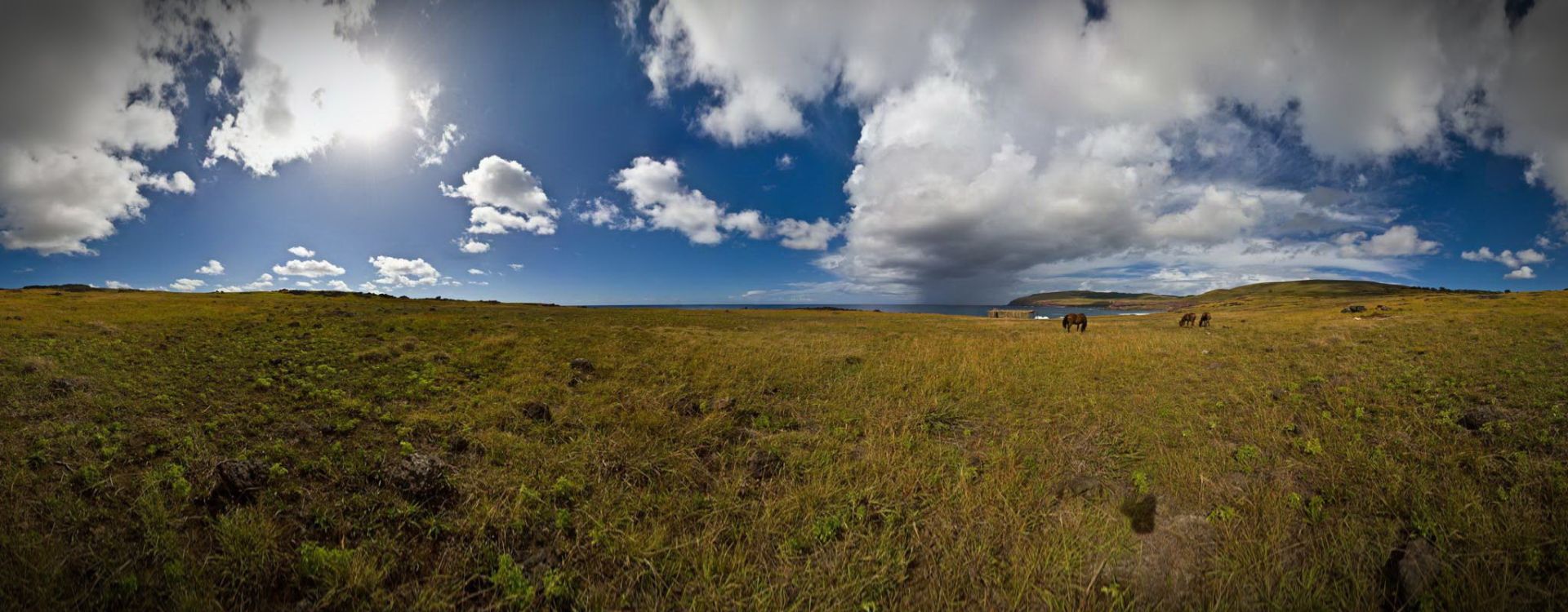 Hanga Hahave with Horses