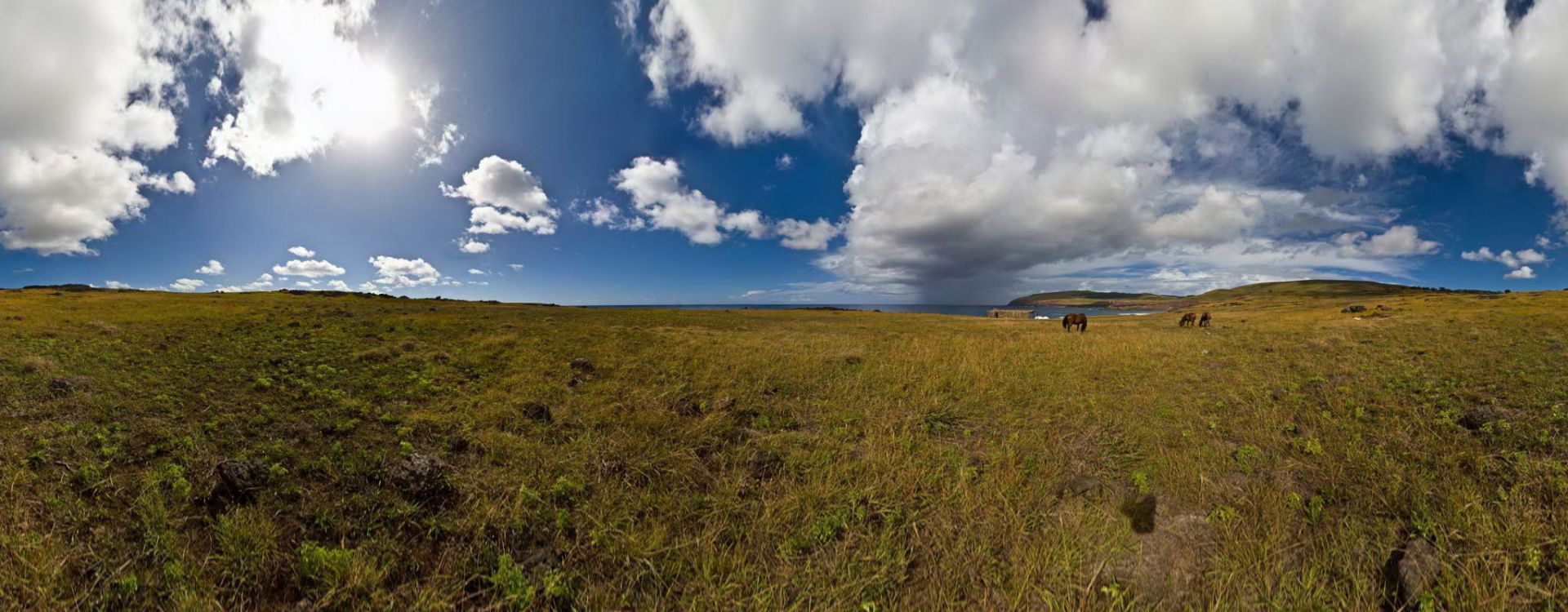 Hanga Hahave with Horses