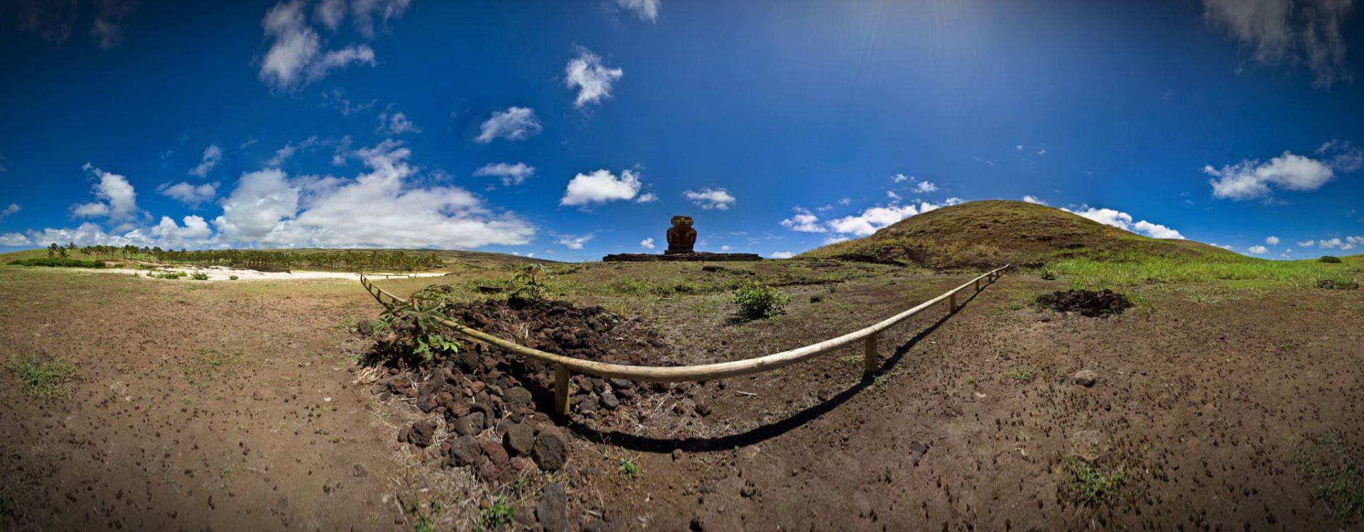 Anakena Beach : Moai Alone