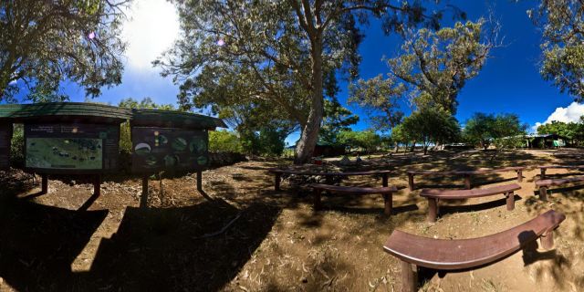 Please read more interesting things directly on the pano... Rano Raraku was a quarry for about 500 years until the early eighteenth century, and supplied the stone from which about 95% of the island's known monolithic sculpture (Moai) were carved.